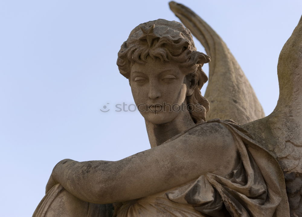 Similar – Image, Stock Photo heavenly Schwerin Heavenly