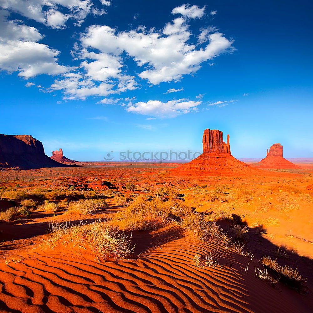 Similar – Image, Stock Photo desert tour Back 1