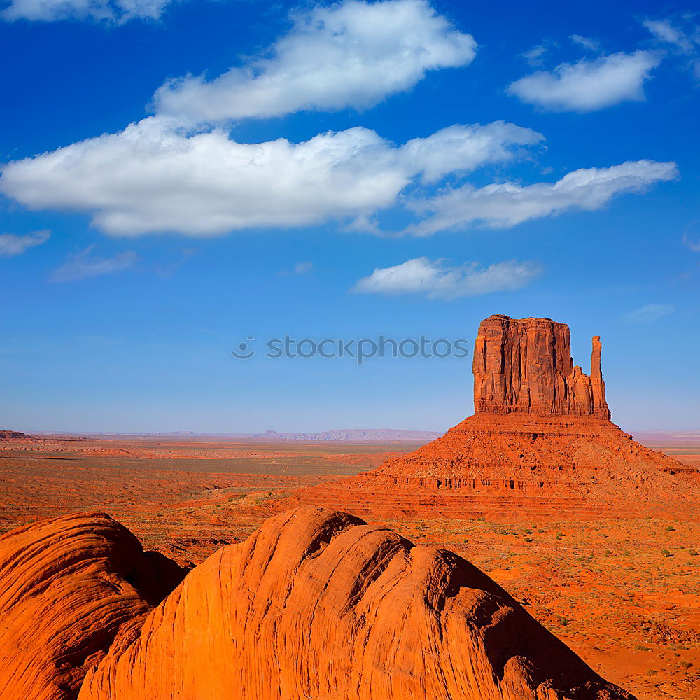 Similar – Image, Stock Photo desert tour Back 1