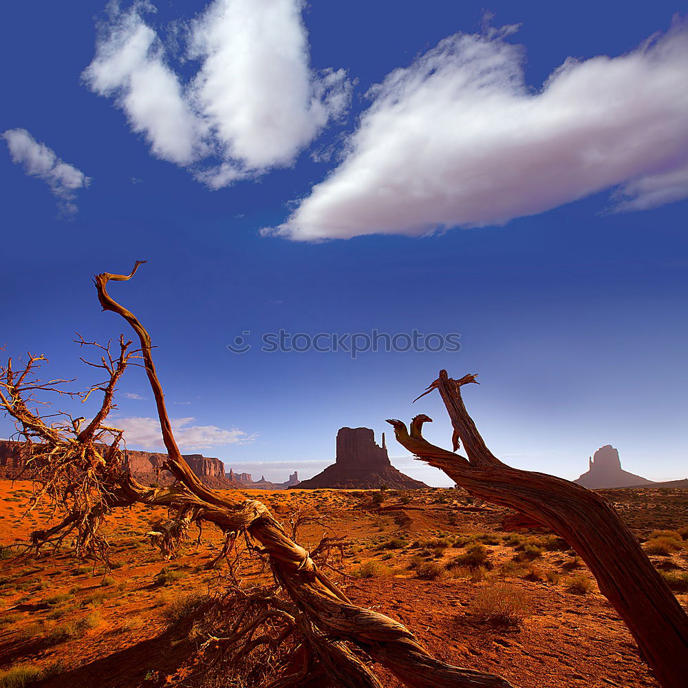 Similar – Foto Bild Balanced Rock Umwelt Natur