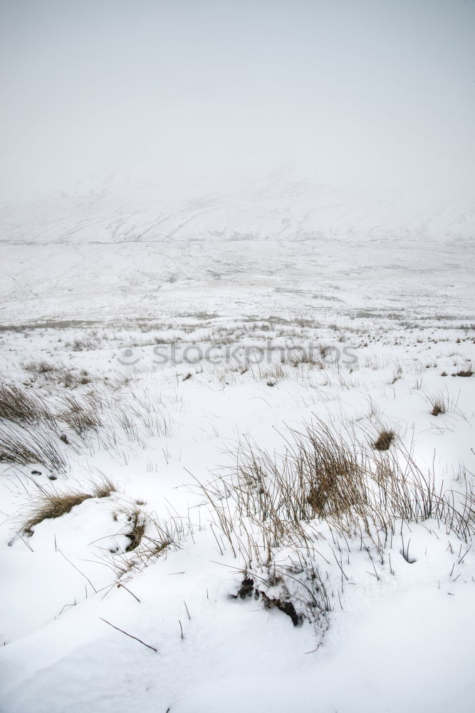 winter beach