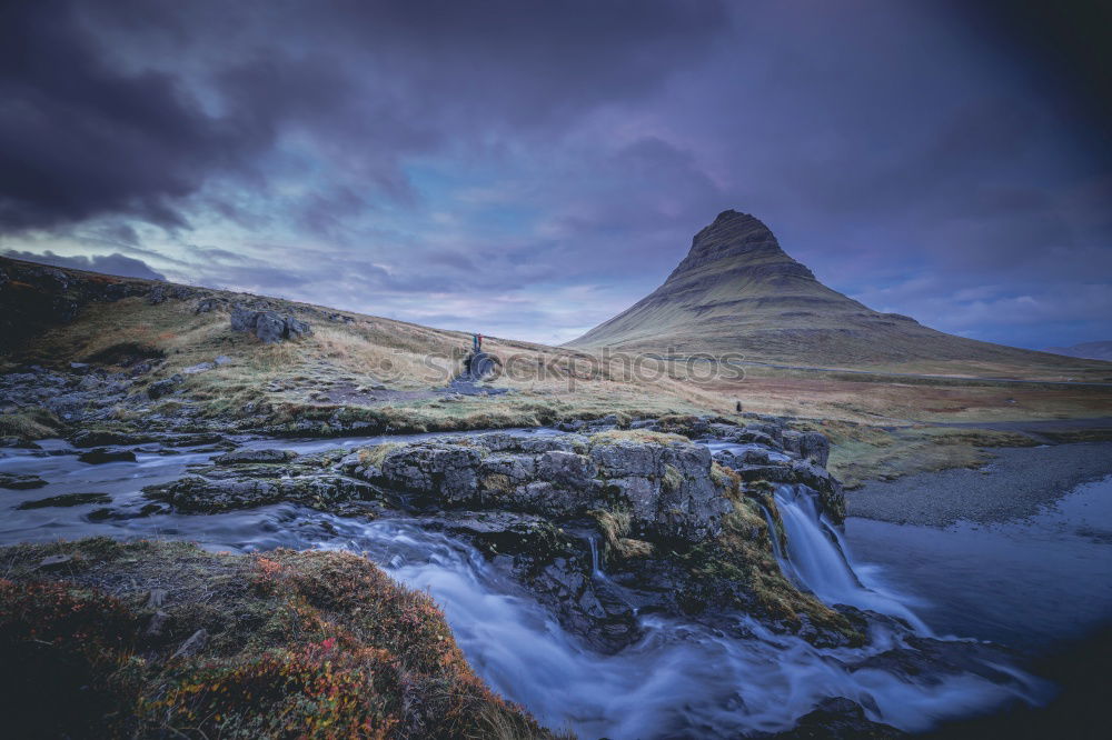 Similar – Image, Stock Photo Iceland pony Weather