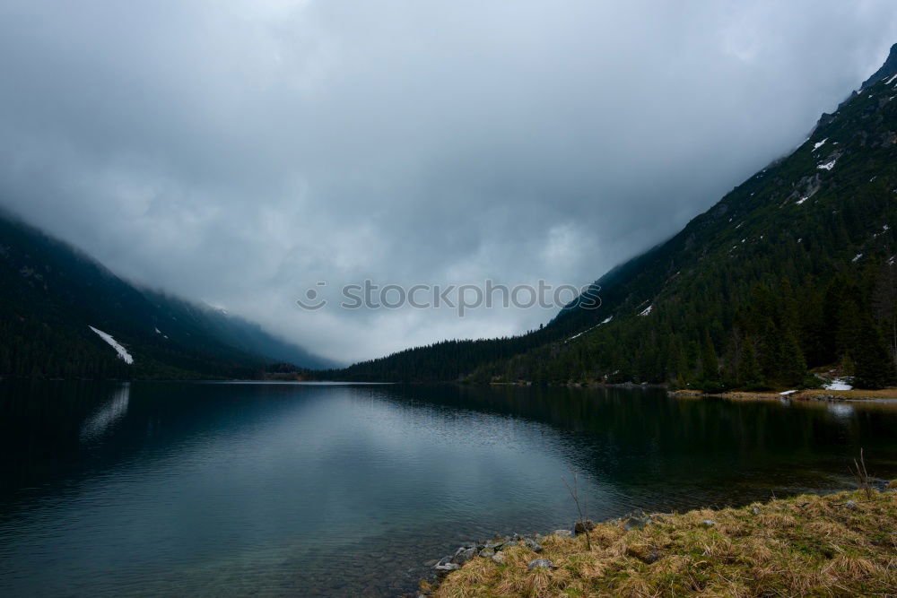 Similar – Image, Stock Photo rain drops Rain Reflection