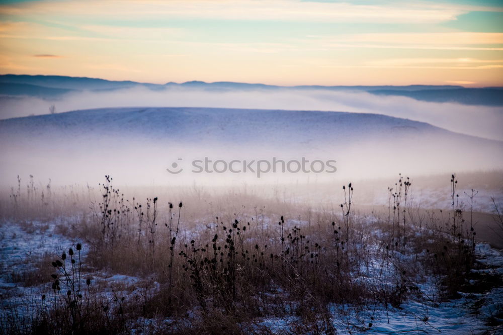 Similar – Image, Stock Photo If it were winter now Sun