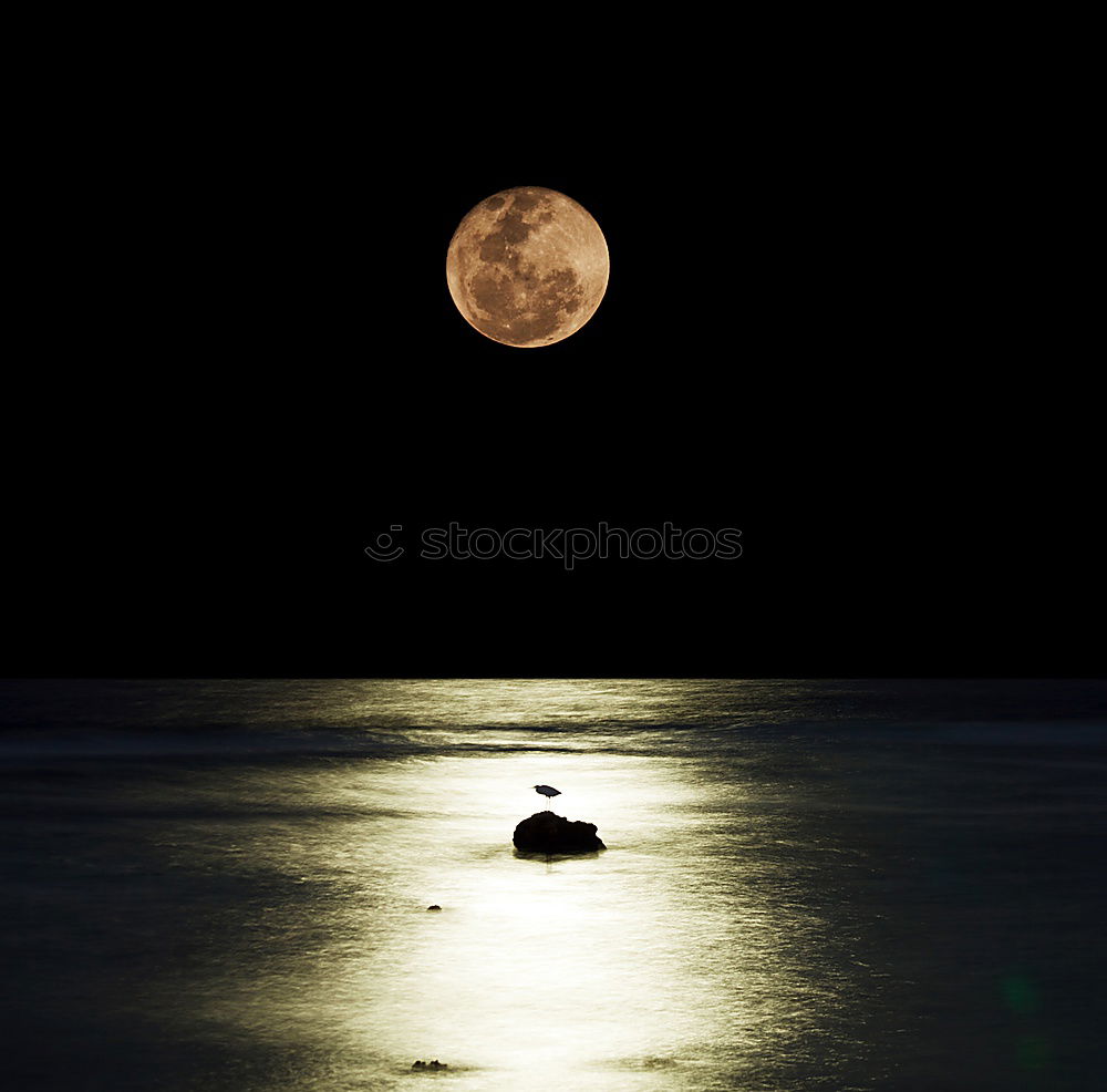 Similar – Foto Bild Blaue Stunde Nacht
