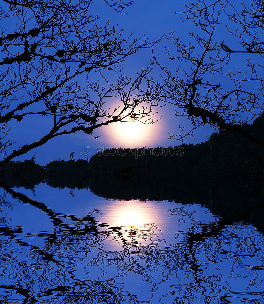 Similar – Foto Bild Blaue Stunde Nacht
