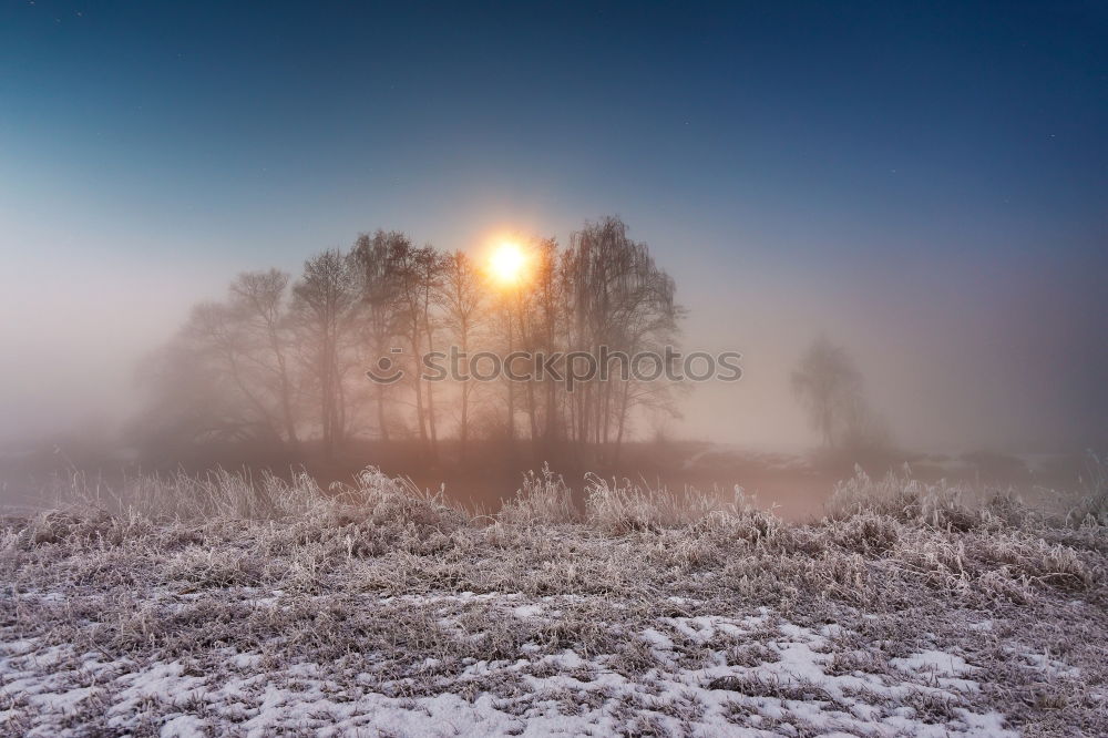 Similar – Image, Stock Photo winter atmosphere