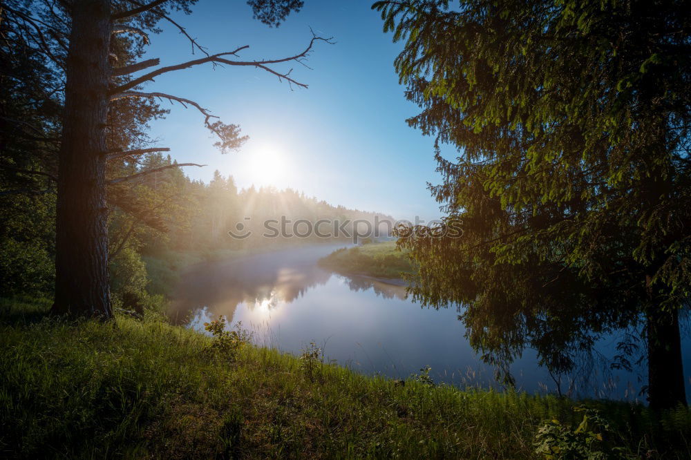 Similar – See Wolken Wald Schweden