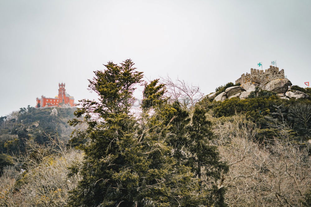 Similar – Image, Stock Photo Wartburg Castle Eisenach