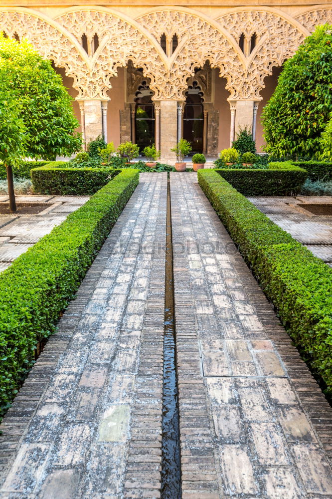 Similar – Image, Stock Photo Pond in the garden Elegant