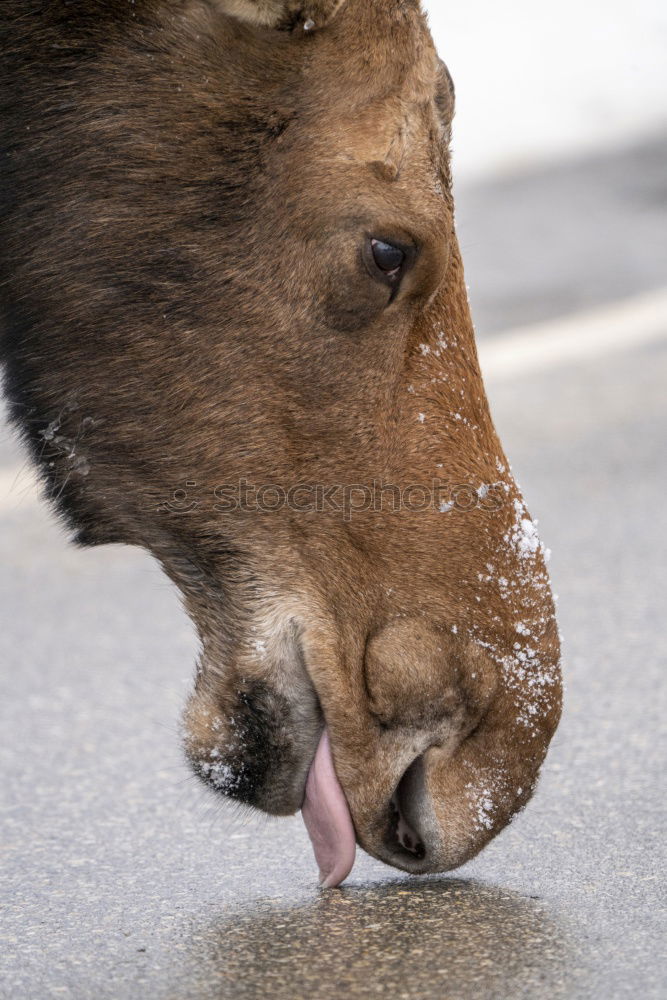 Similar – Foto Bild Was vom Essen übrig blieb