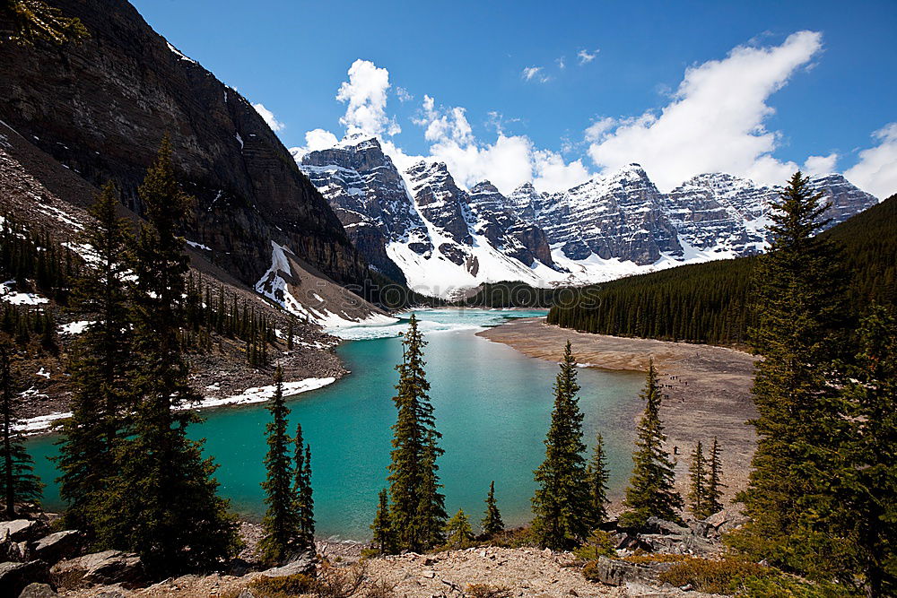 Moraine Lake, Canada Tree