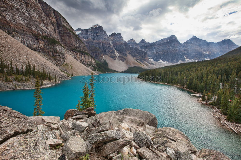 Similar – Image, Stock Photo Crowfoot Mountain sorum