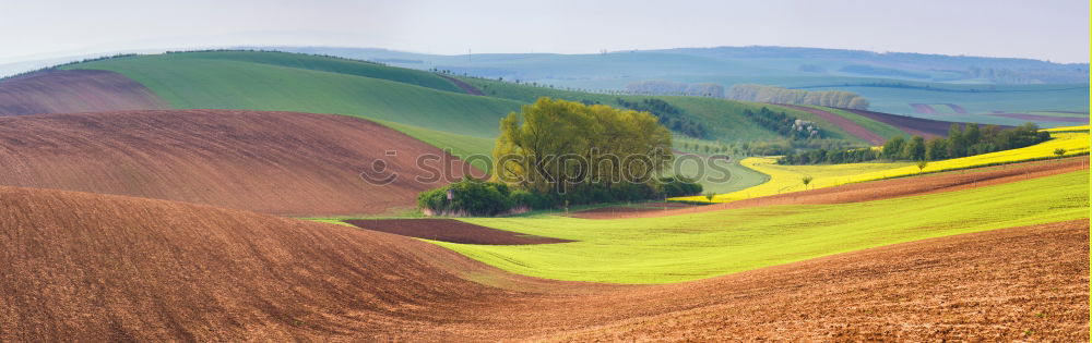 Similar – Misty hill Hill Fog Green