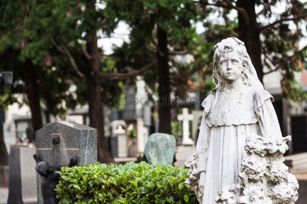 Similar – An old quiet graveyard in Macao, China