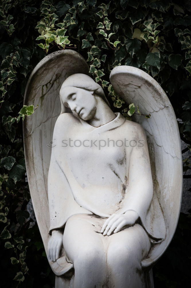 Similar – bereavement Statue Grief