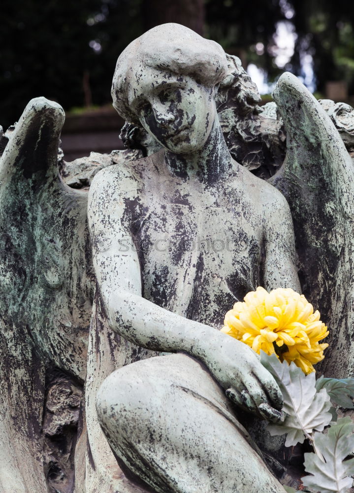 Similar – bereavement Statue Grief