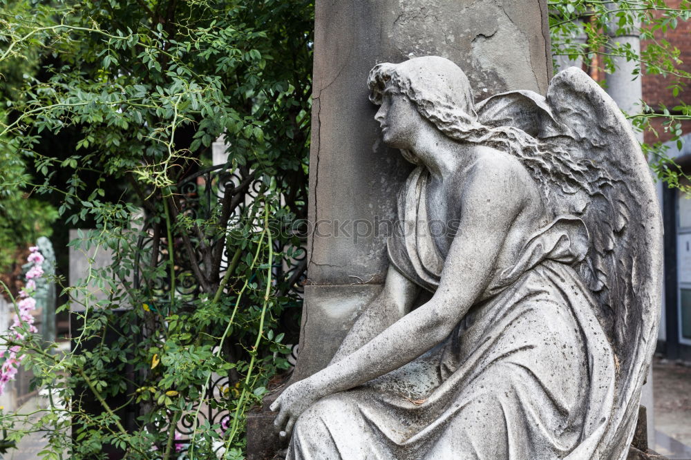 Similar – Image, Stock Photo hero’s death Cemetery