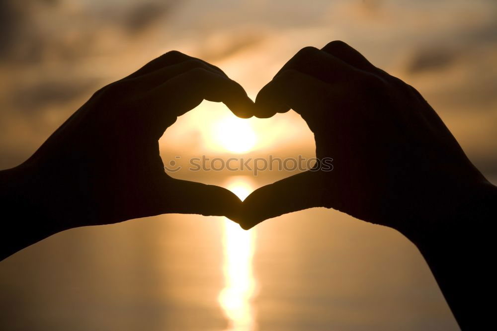 Similar – Image, Stock Photo Sunset heart Joy Beautiful