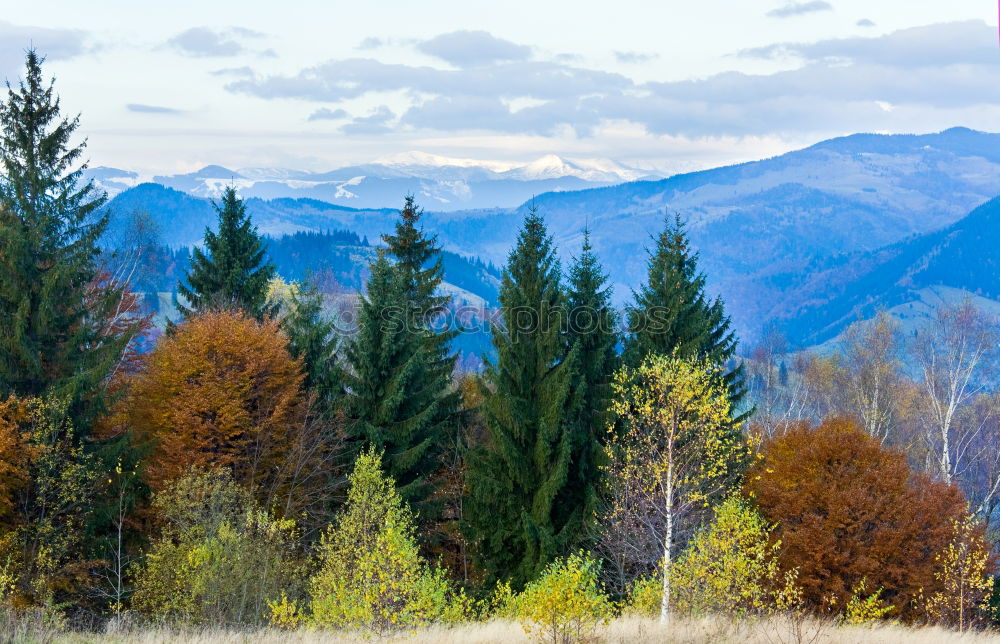 Similar – Carpathian Mountains Landscape In Romania