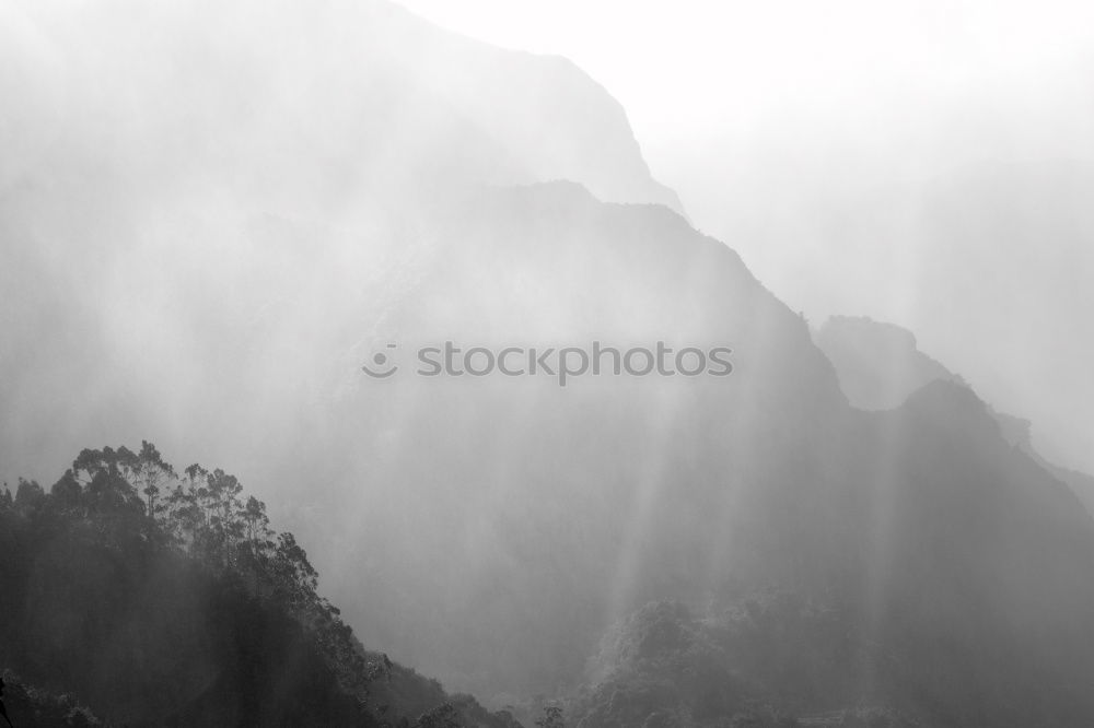 Similar – Image, Stock Photo What the fog releases…