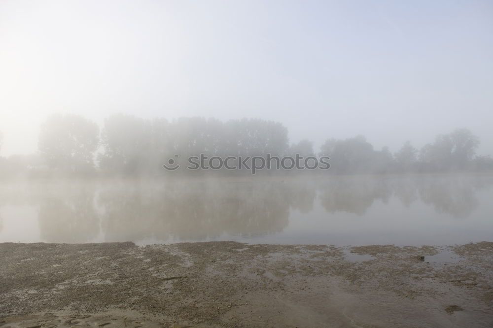 Similar – Image, Stock Photo reflex Environment Nature