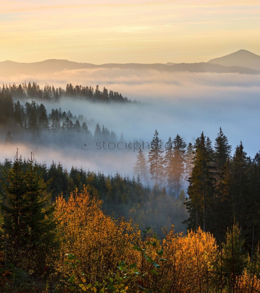 Similar – Image, Stock Photo Winterthur Environment