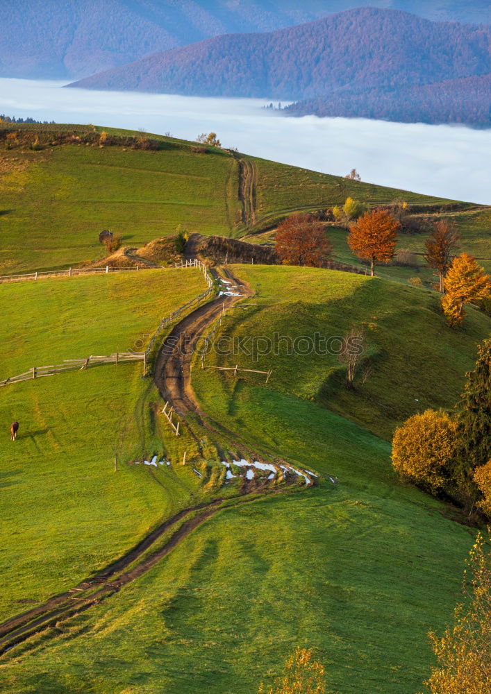 Similar – Image, Stock Photo Autumn garden in Carpathian mountains