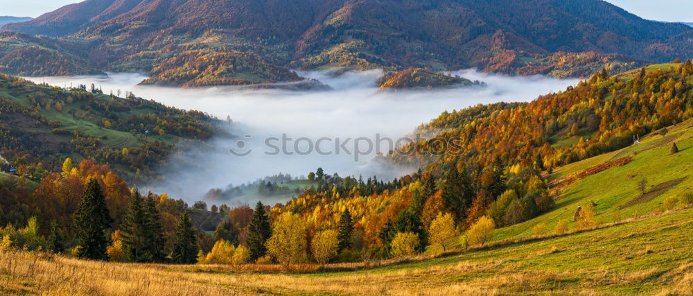 Similar – Image, Stock Photo # 1397528 Nature Landscape