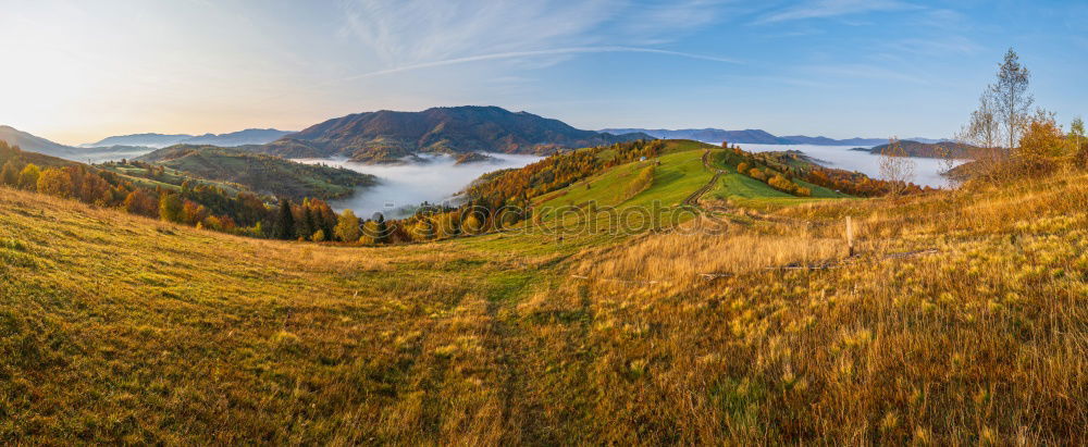 Similar – Image, Stock Photo Moselle Wine Landscape in Bright Autumn Colours