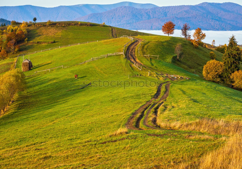 Similar – Image, Stock Photo Moselle wine Golden autumn landscape