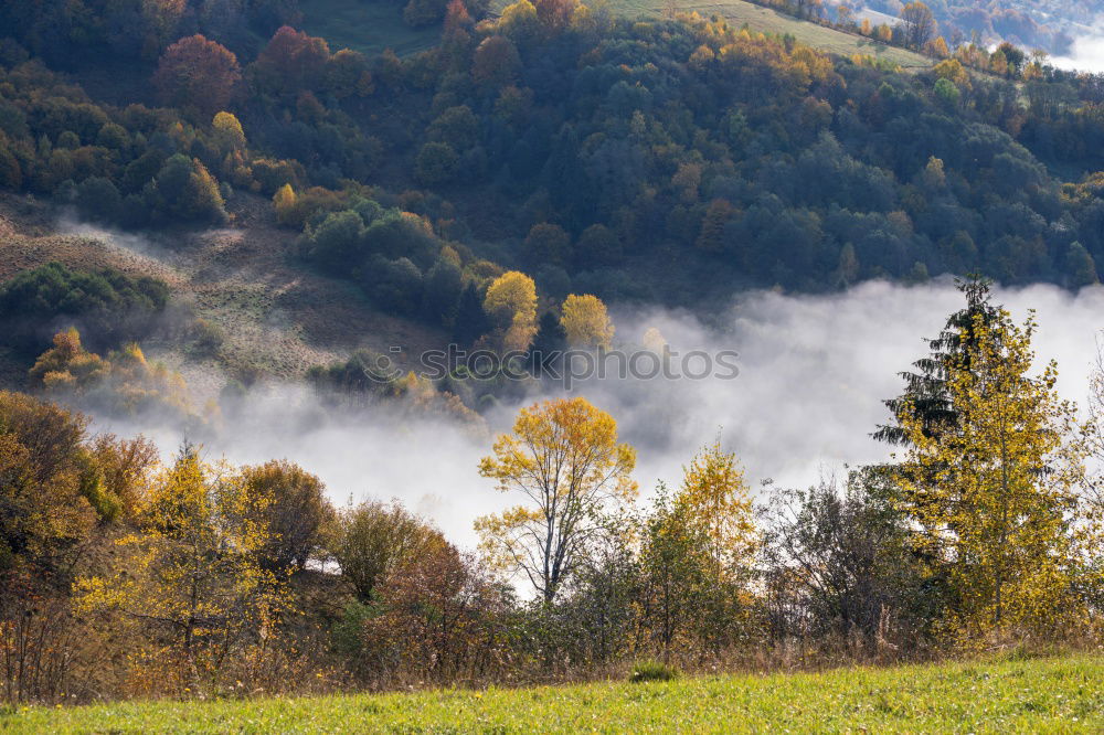 Similar – Image, Stock Photo Morning fog in the valley. Spring misty hills scene