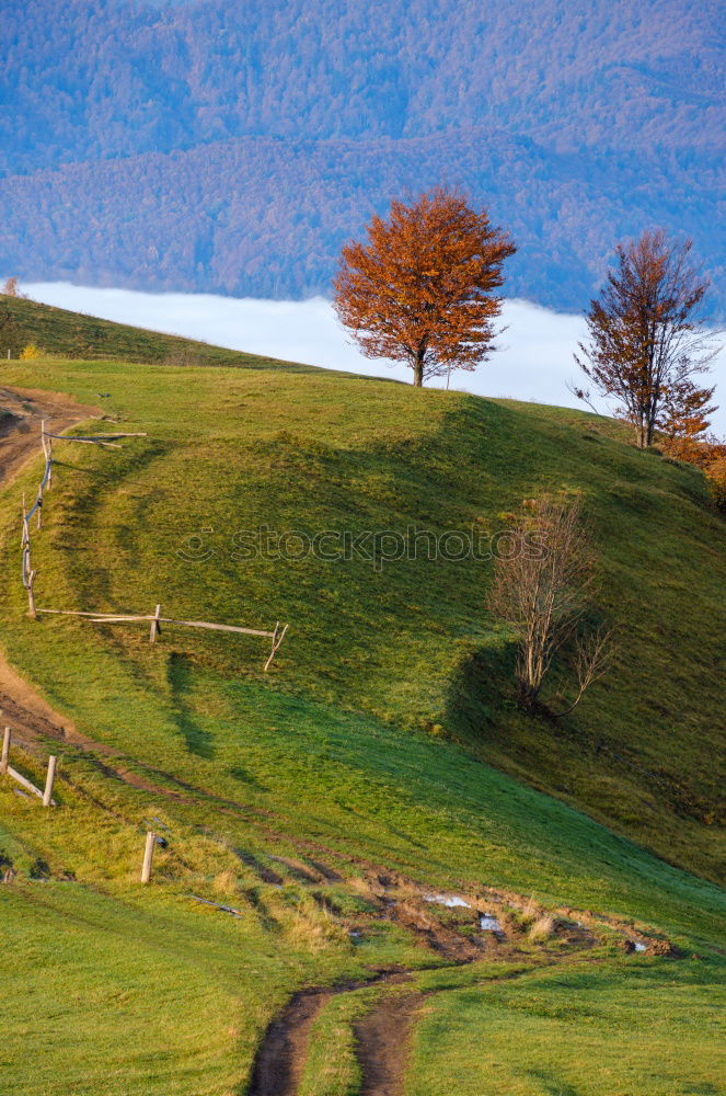 Similar – Image, Stock Photo Autumn garden in Carpathian mountains