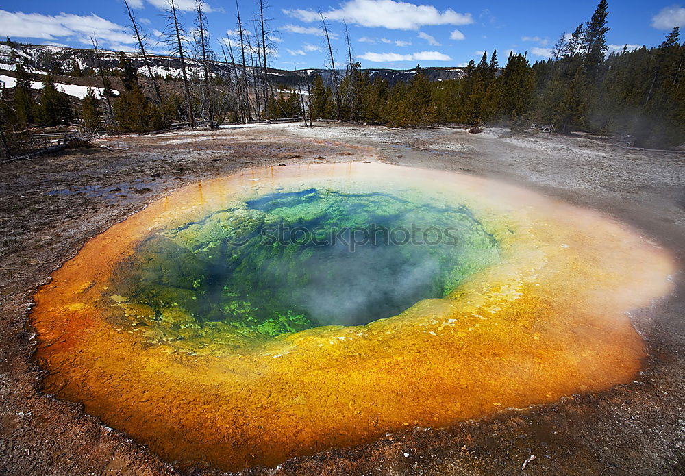 Similar – Image, Stock Photo Bacterial species