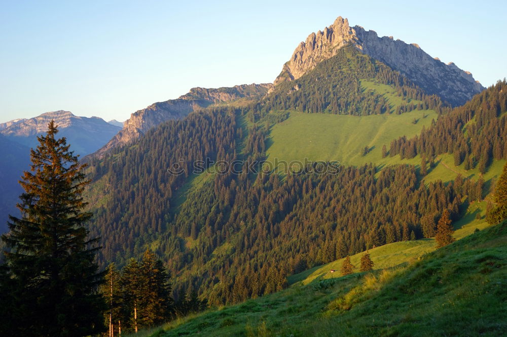 Similar – Image, Stock Photo Rigi VII Environment