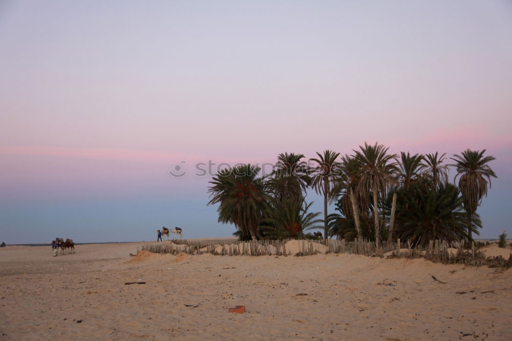 Similar – Image, Stock Photo Santa Barbara Beach