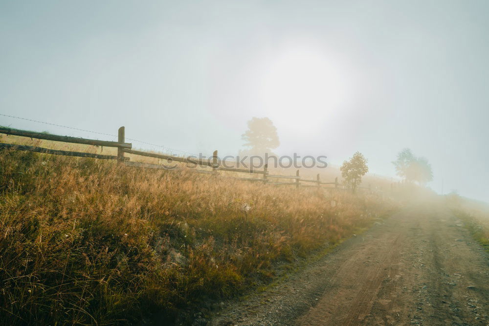 Similar – Image, Stock Photo matyö Far-off places