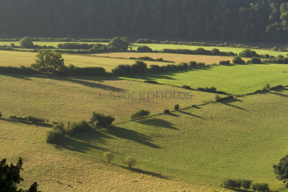 Similar – Image, Stock Photo Green Green Green Tourism