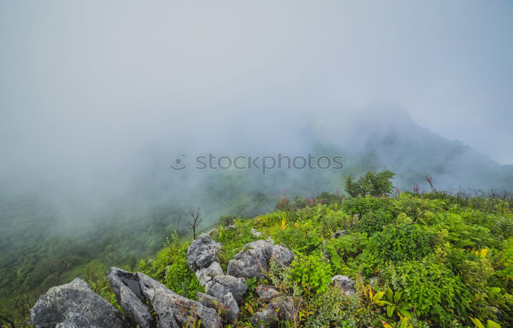 Similar – Image, Stock Photo peaks, rocks, clouds, steep, diffuse