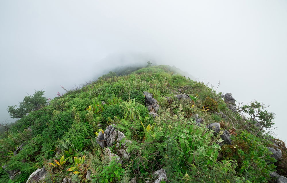 Similar – Mount Venet Mountain