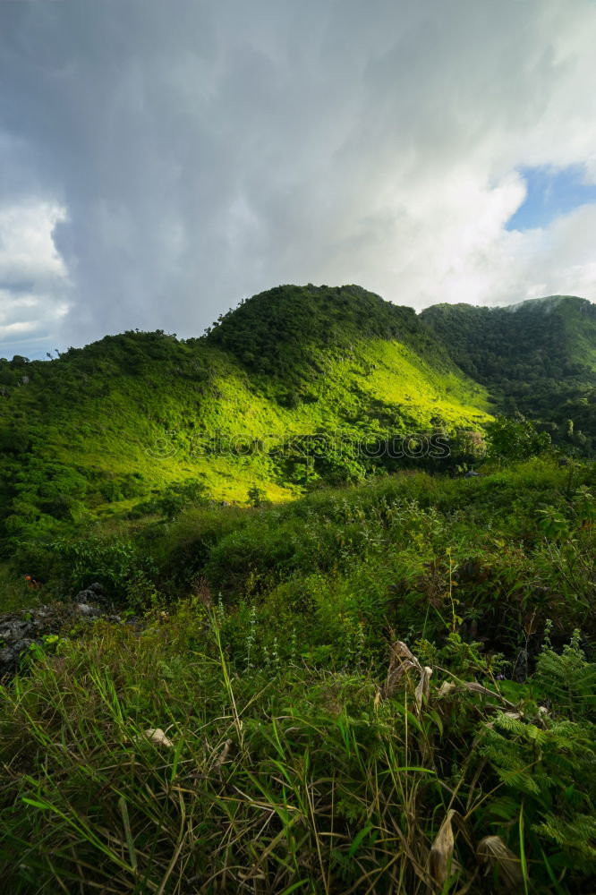 Similar – Image, Stock Photo Table Mountain el yunque, Cuba