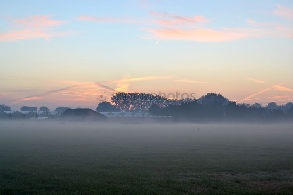 Similar – morning fog Fog Sunrise