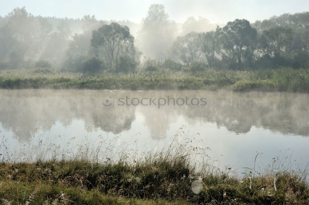 Similar – Weißensee Umwelt Natur