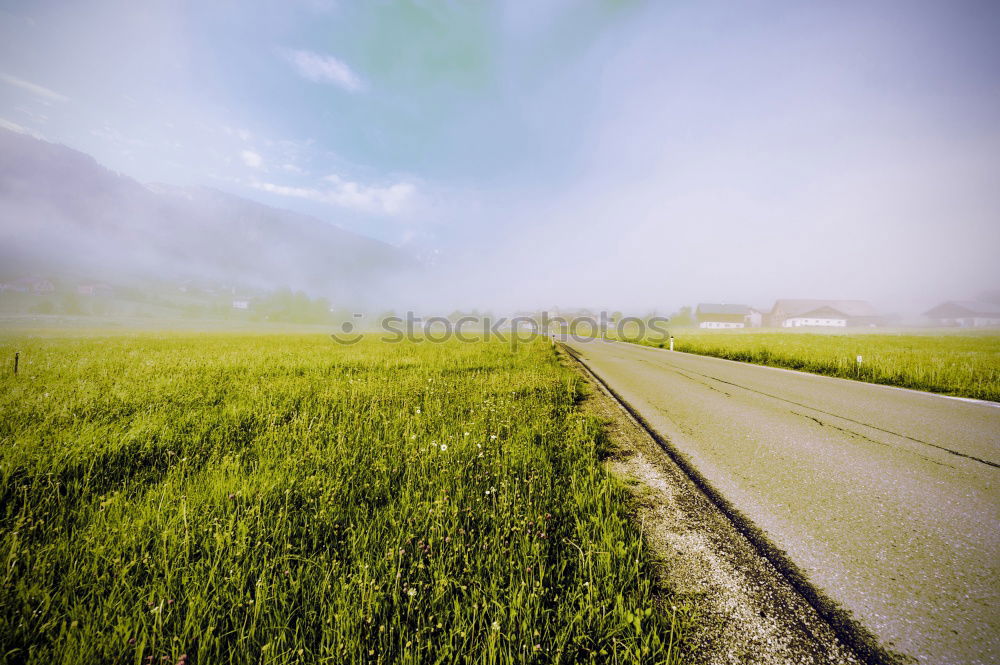 Similar – family walk Nature