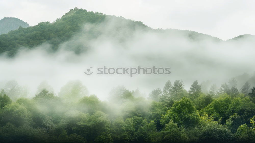 Image, Stock Photo clouds Green Fog Vail