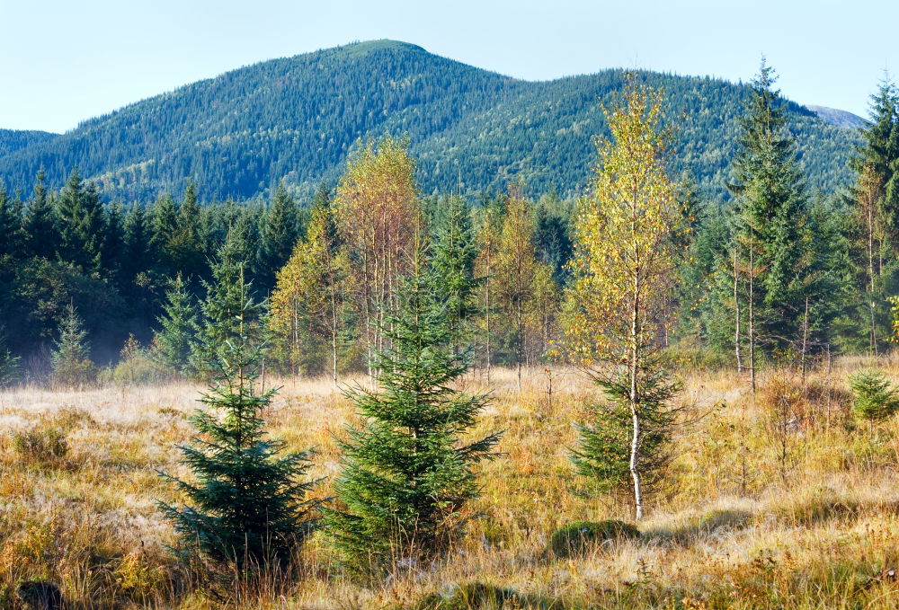 Similar – Image, Stock Photo Diamond Peak Landscape