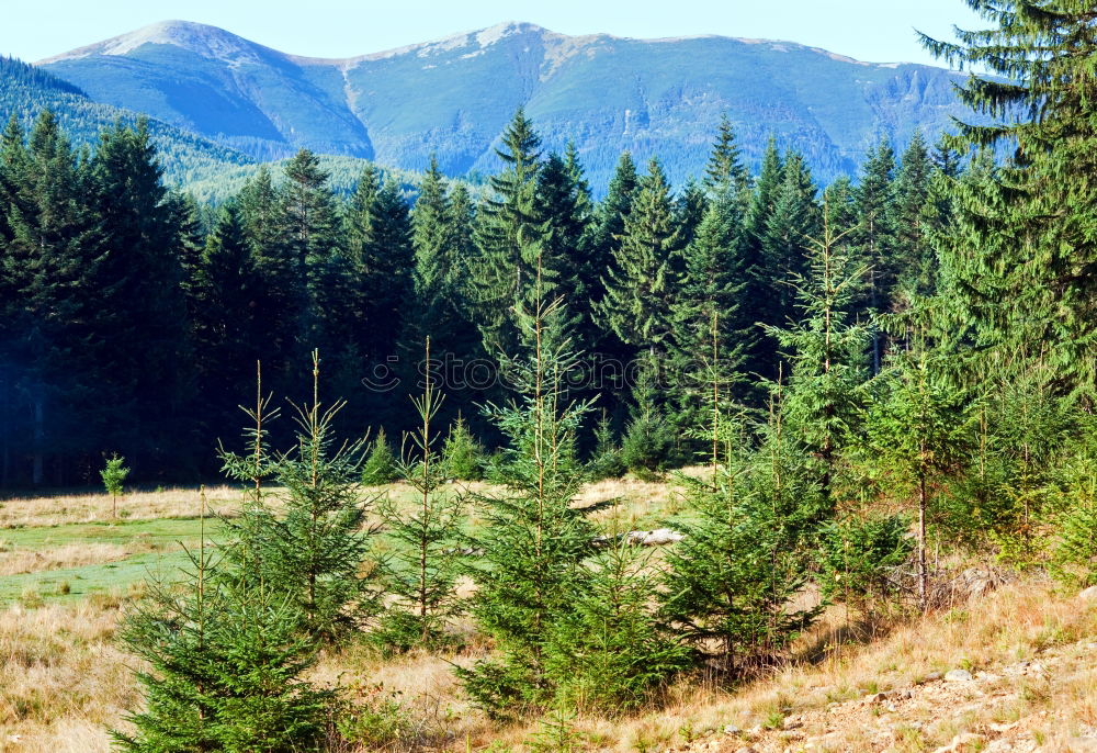 Similar – Image, Stock Photo Between mountain and valley