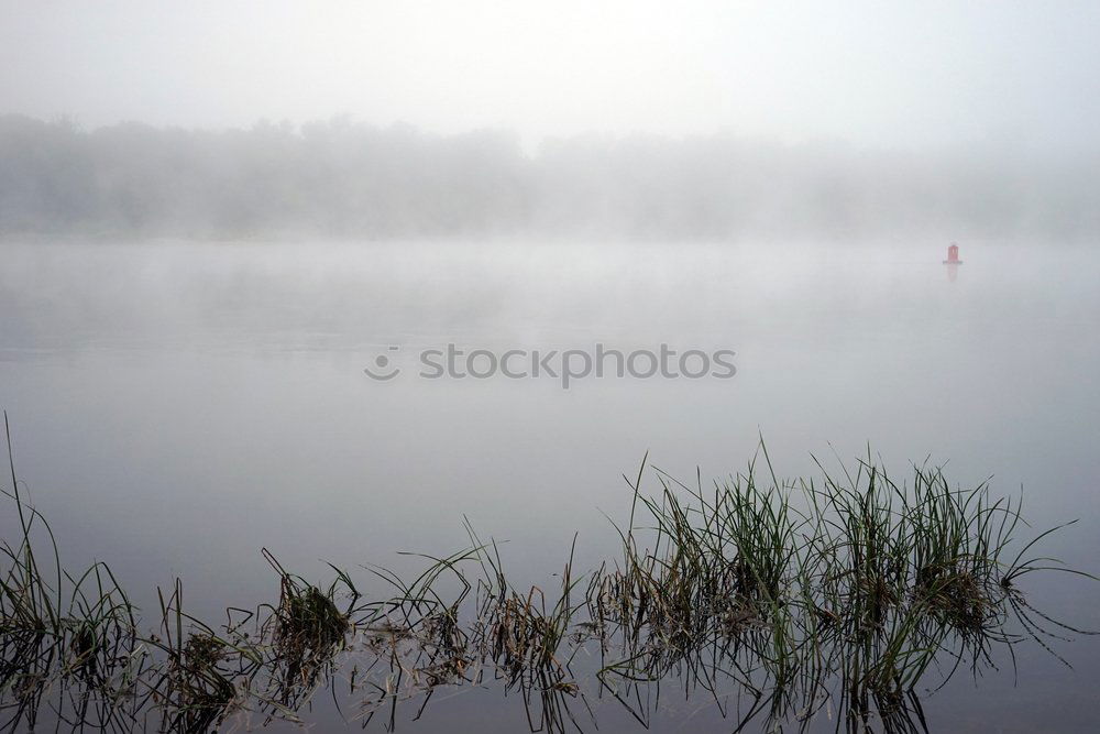 Similar – fog lake Calm Nature Water