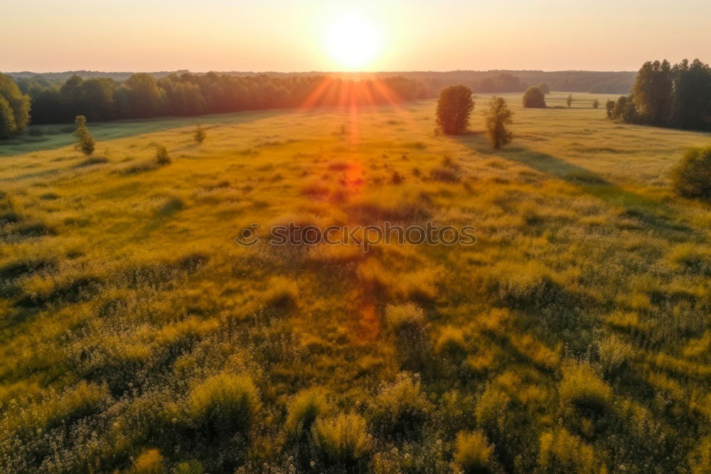 Similar – Image, Stock Photo sunrise Sunrise Fog Meadow