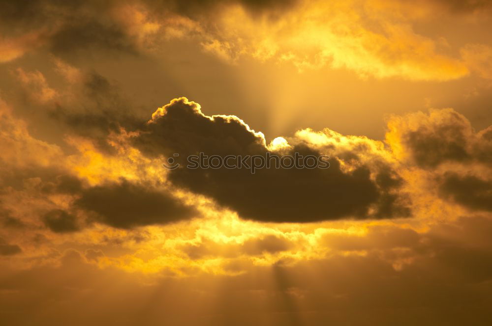 Similar – Image, Stock Photo sunman Man Light Cuba